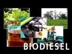 elvi-restiawaty-biokonversi-limbah-biodiesel-menjadi-prekursor-vaksin-dan-kosmetik