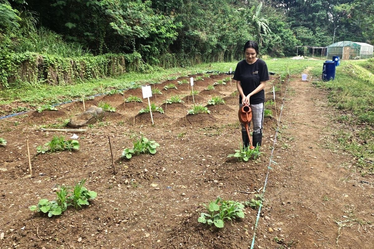 mahasiswa-itb-raih-penghargaan-peneliti-terbaik-nasional-irn-2024-2025-dari-tugas-akhir-menuju-inovasi-pertanian-berkelanjutan