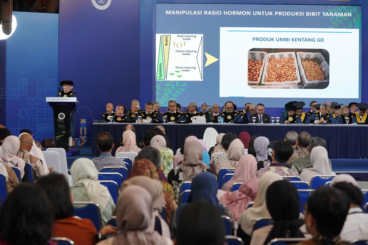 Scientific Lecture by Prof. Erly Marwani: Steering Plant Metabolic Pathways Toward Sustainable Bioproducts