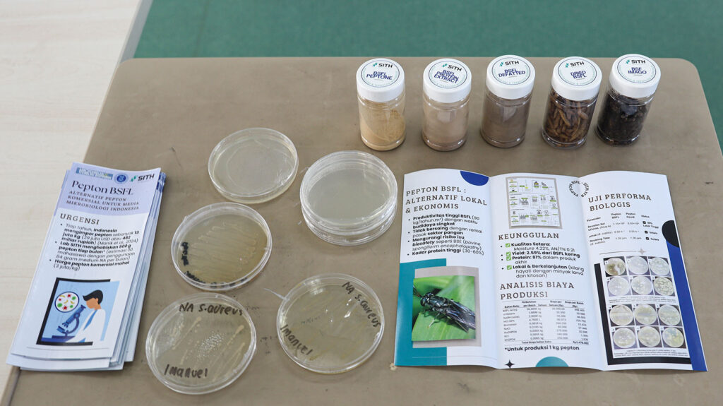 in-a-world-first-itb-develops-peptone-from-black-soldier-fly-larvae-to-reduce-import-dependence-and-organic-waste