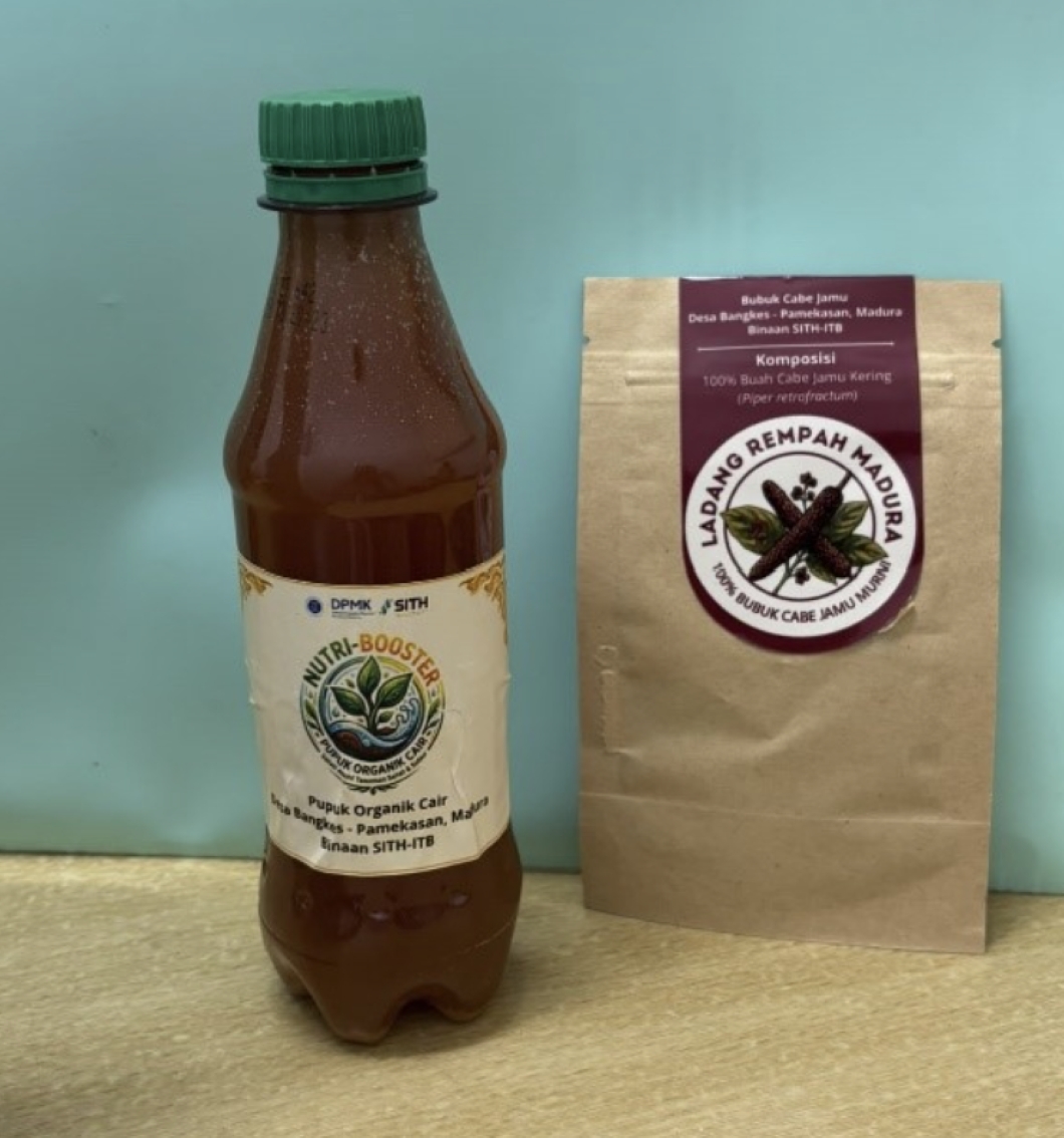 SITH ITB Kembangkan Dua Produk Berbasis Cabe Jamu untuk Tingkatkan Potensi Lokal Desa Bangkes