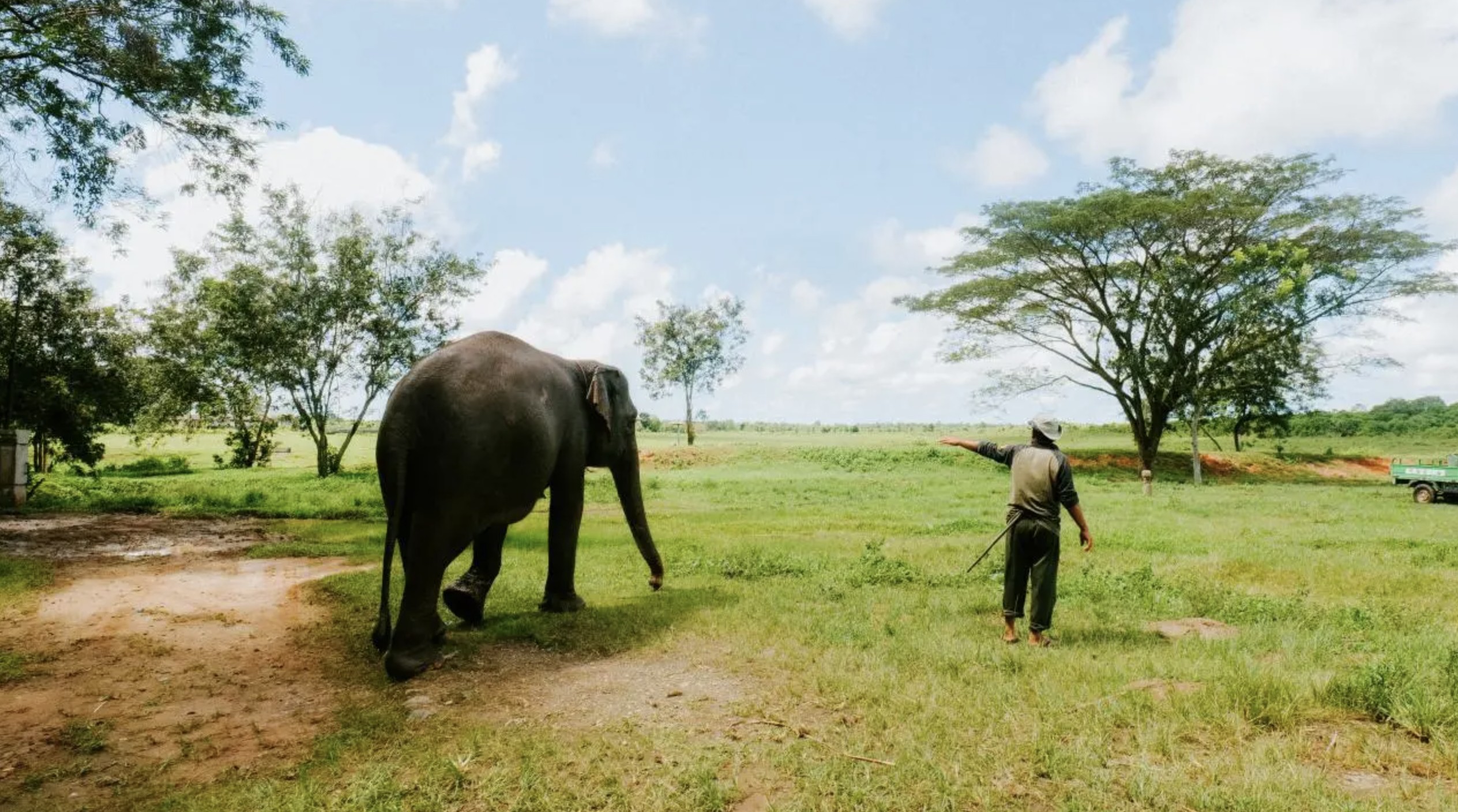 ahli-itb-ungkap-hubungan-kondisi-ekosistem-tesso-nilo-dan-risiko-bencana-ekologis
