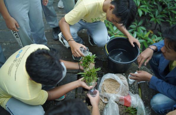 dosen-oseanografi-itb-bersama-dosen-fpik-ubt-kembangkan-ekowisata-mangrove-berbasis-edukasi-di-kota-tarakan